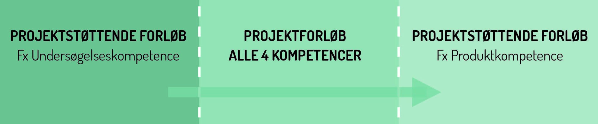 PROJEKTER OG PROJEKTSTØTTENDE FORLØB